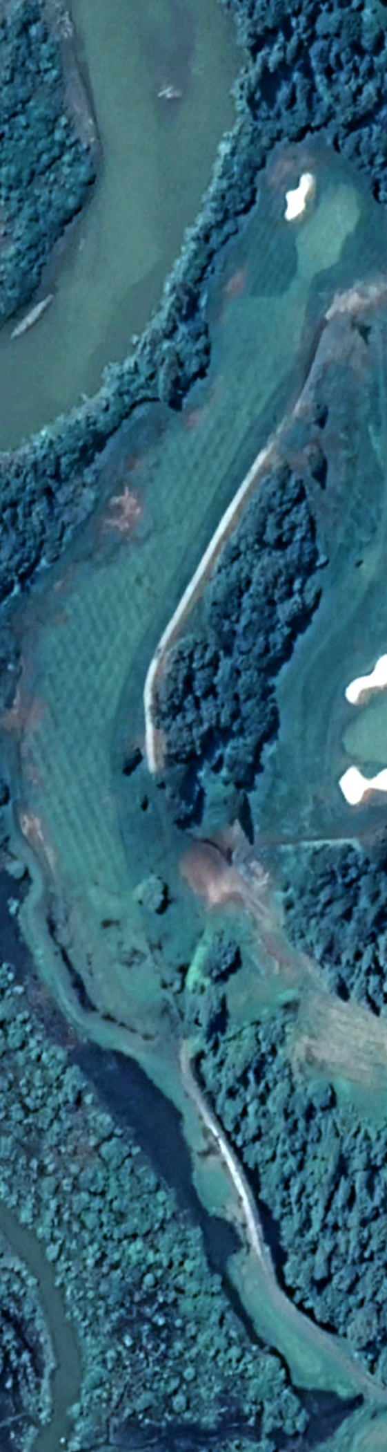 Hole 6
